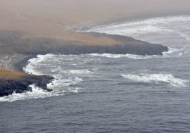 800 kilometers of coastline to be cleared of garbage this year