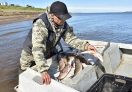Fishermen in Arctic to use space technology