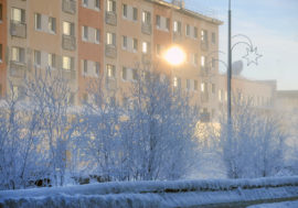 Everyone can find work in Arctic