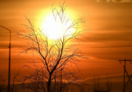 Taimyr sun comes out of hiding