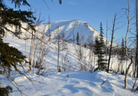 Arctic educational program to be launched in Russia