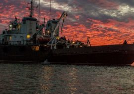 Russian expedition found 49 ships at Arctic sea bottom