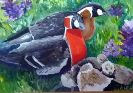 Taimyr Nature Reserves start Parks March – 2024