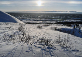 Russia celebrated Arctic Day