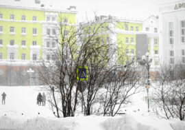 Nornickel invites to add colors to city