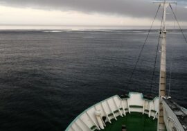 Russian Geographical Society invites to join Arctic expedition