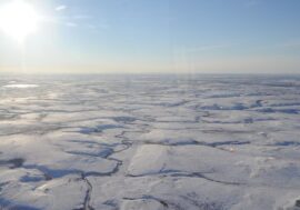 Drifting expedition in Arctic starts in autumn