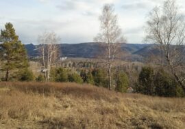 Taiga life series filming started in Krasnoyarsk