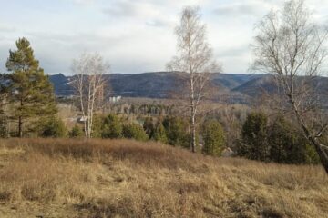 Taiga life series filming started in Krasnoyarsk
