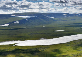 North Pole 41 expedition to discover new living organisms