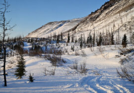 New environmental problem appears in Arctic