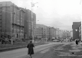 Pavlov street’s mysteries