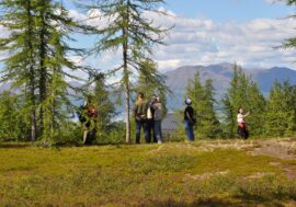 Tourists travel to Arctic for cold