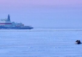 Northern Sea Route coastal zone to be developed