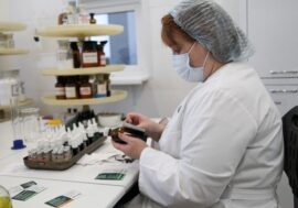 Krasnoyarsk scientists developed effective drug delivery system