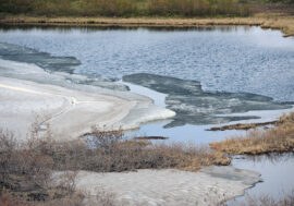 Scientists to study climate and ice change in Arctic