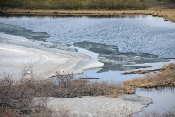 Scientists to study climate and ice change in Arctic