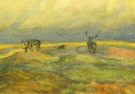 Norilsk Museum to show Taimyr ancient people’s sacredness