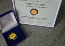 Severny Gorod news portal becomes best regional media