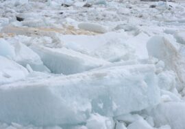 Arctic melting affects number of forest fires in Siberia