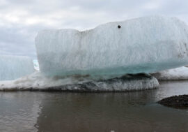 Scientists sum up climate results in Arctic over past year