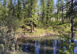 Krasnoyarsk scientists learn to make fuel from water and sun
