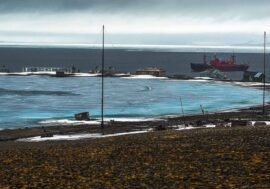 Scientists delivered building materials for Arctic northernmost museum