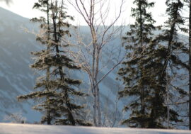 Traveler Ildar Mamatov spoke about Bering expedition