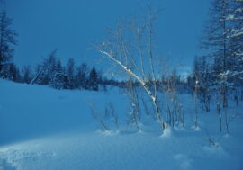 Norilsk and Taimyr meet polar night