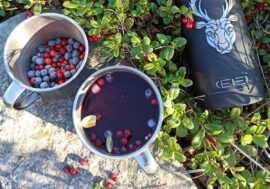 Healthiest berries are blue and black