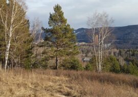 103 million rubles to be spent on tourism in Krasnoyarsk