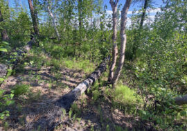 Fiber-optic line to come to Northern remote villages