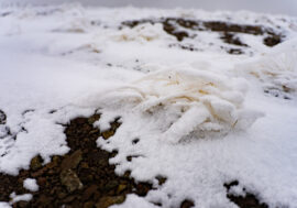 Association of Geocryologists appeared in Russia