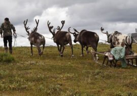 State support for Krasnoyarsk region’s indigenous peoples to increase