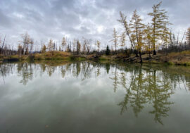 Global ocean warming rate doubled in 19 years