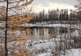 Global warming makes Earth’s hydrological cycle unpredictable