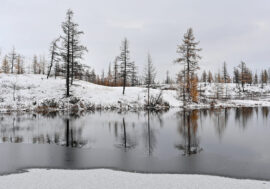 Clean Arctic volunteers to restore cape Chelyuskin cemetery