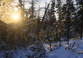 Russia developed Arctic hydrogen heating method