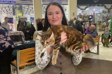 Norilsk shows rarest cat breeds