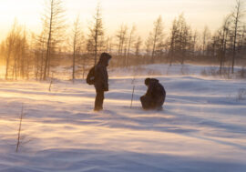 Permafrost is under Nornickel’s control