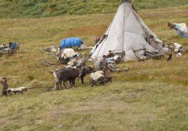 Interactive atlas of indigenous peoples launched in Russia