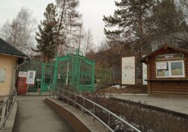 Manuls to settle in Royev Rouchey