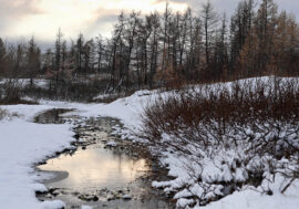 Volunteer base appeared at Russia northernmost point
