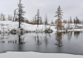 Mesyatsev island disappeared in Arctic