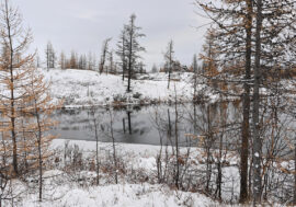 Cape Chelyuskin to be cleaned up for ten years