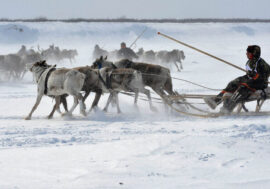 Life reflected through reindeer herder eyes