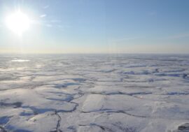 Atlantic shares warm waters with Arctic