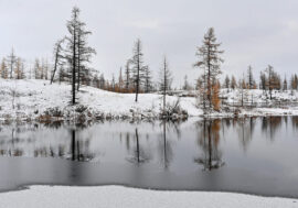 Russian Geographical Society’s branch opened in Igarka
