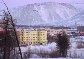 Every fourth resident of Russia plans to visit Arctic