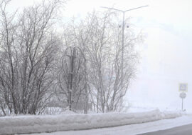 30 spaces to be landscaped in Krasnoyarsk region
